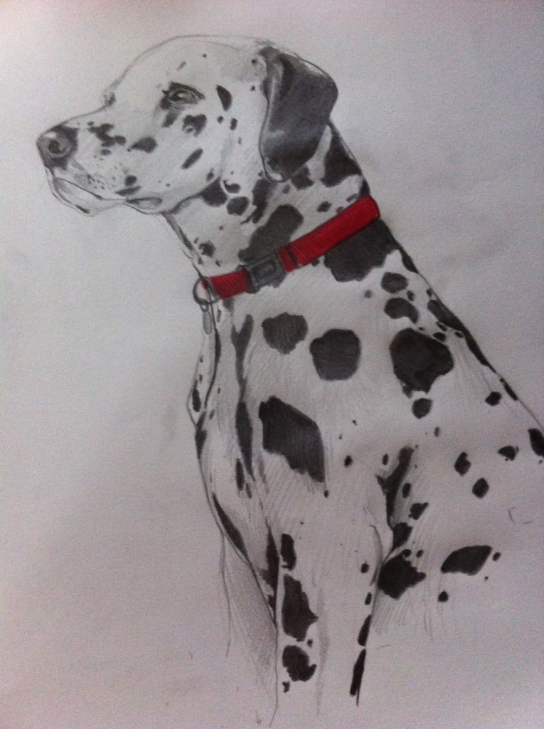 Dalmatian